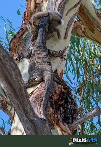 welcome to Australia