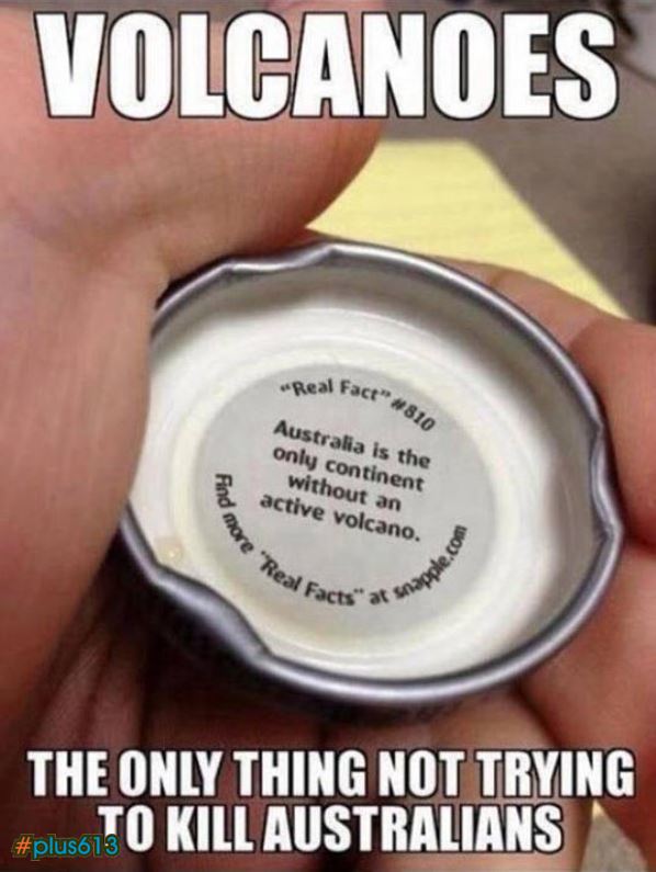 Lunchtime fun fact