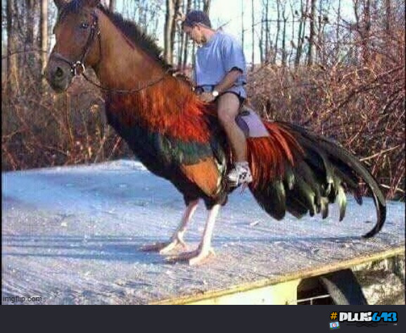Genie misunderstood I want a giant horse cock