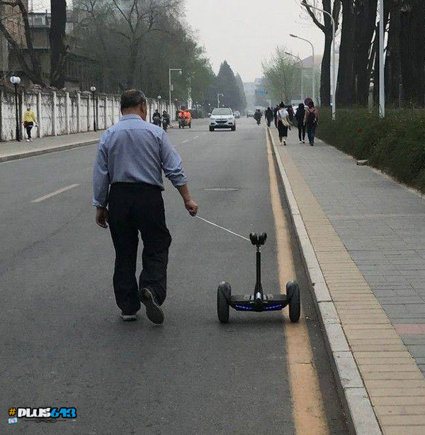 Taking his human for a walk
