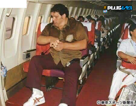 Andre on a plane