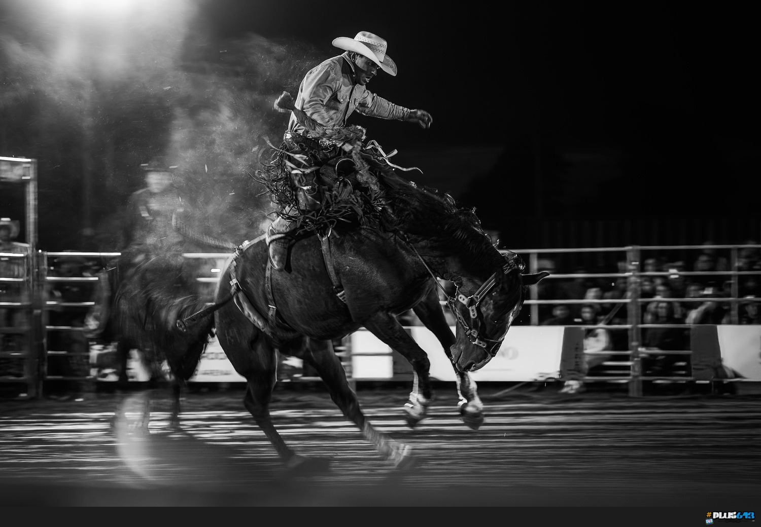 plus613 - culture in the blender - My First Rodeo by Thomas Jordan