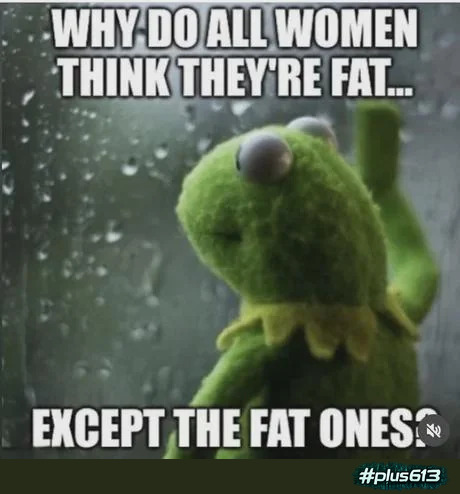 Kermit asking the big questions