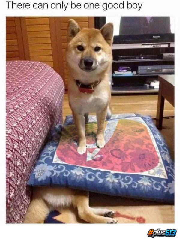Goodest