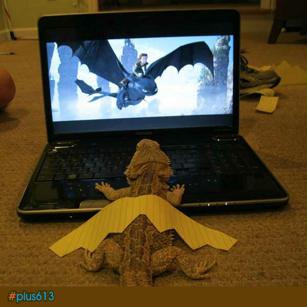 Dream big