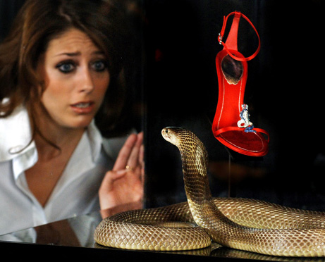 snake & shoe
