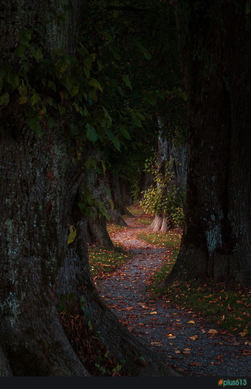 The Light of Autumn by Michael Bottari