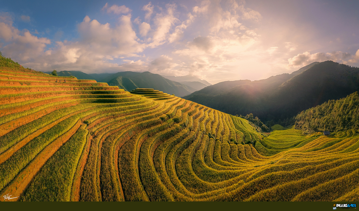 Rice Terrace by Phuoc Le