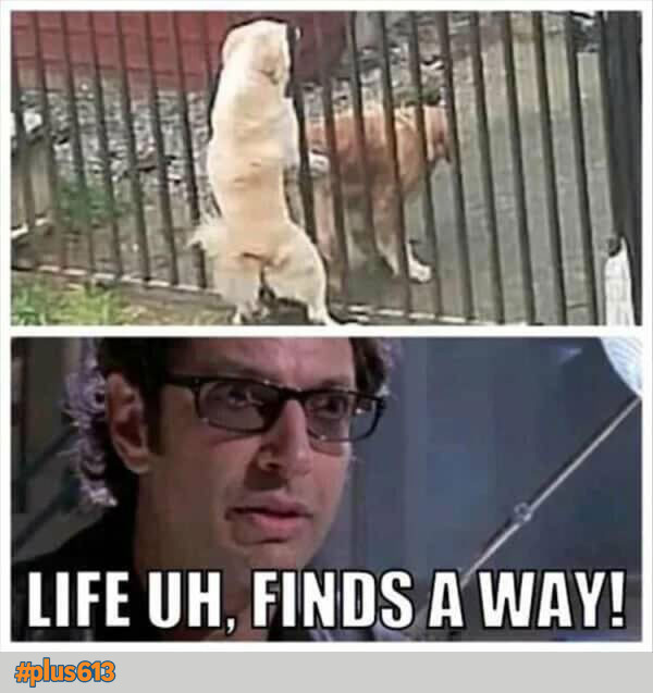 We've all been there