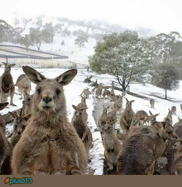 I hear it is chilly down south