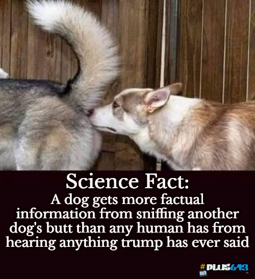 They both stink