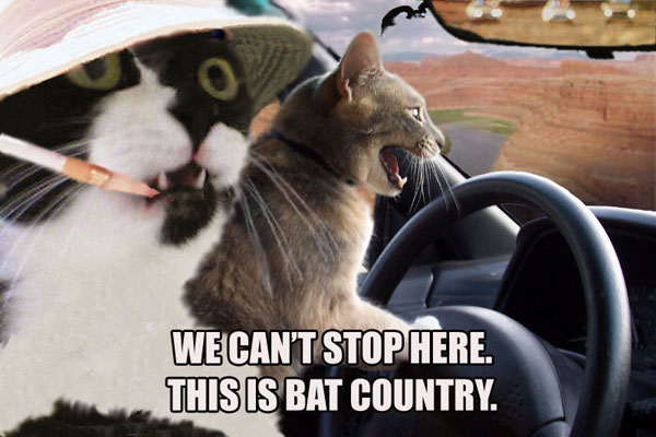 bat country