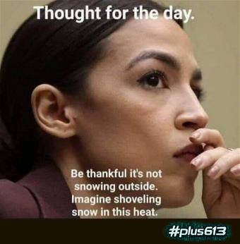 dumb as a box of hammers