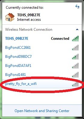 All the homies say I'm pretty fly for a wifi