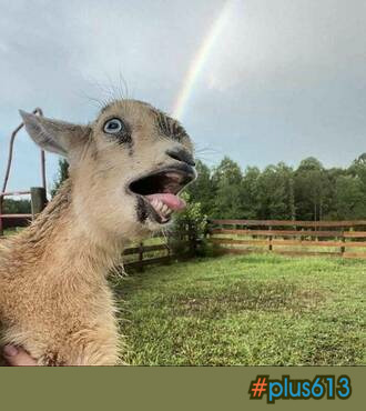 when the rainbow hits ya