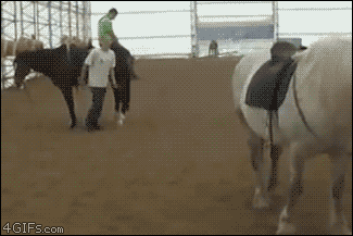 pulse mounting a horse