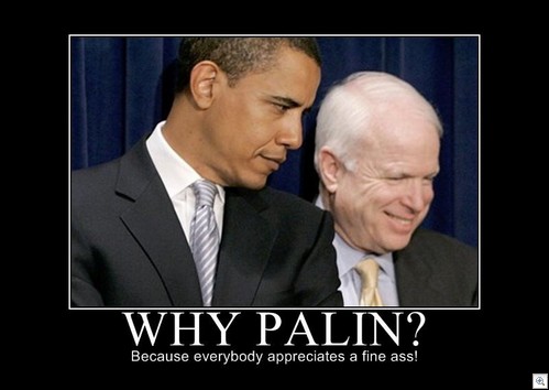 Why Palin
