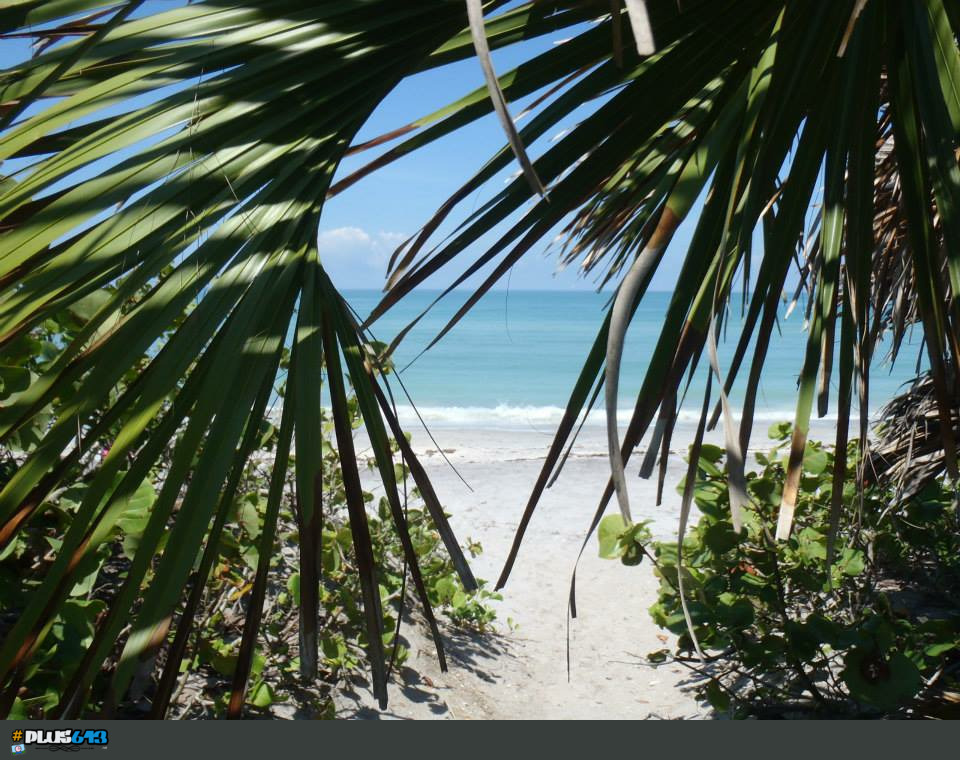 Gulf of Mexico