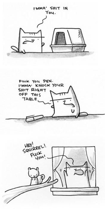 Cat Humour