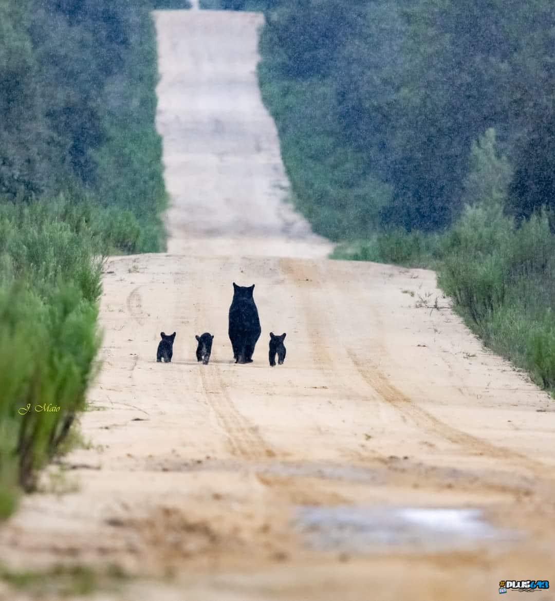 Florida family walk
