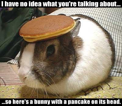 Rabbit pancakes rule