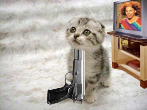 dont do it kitty!