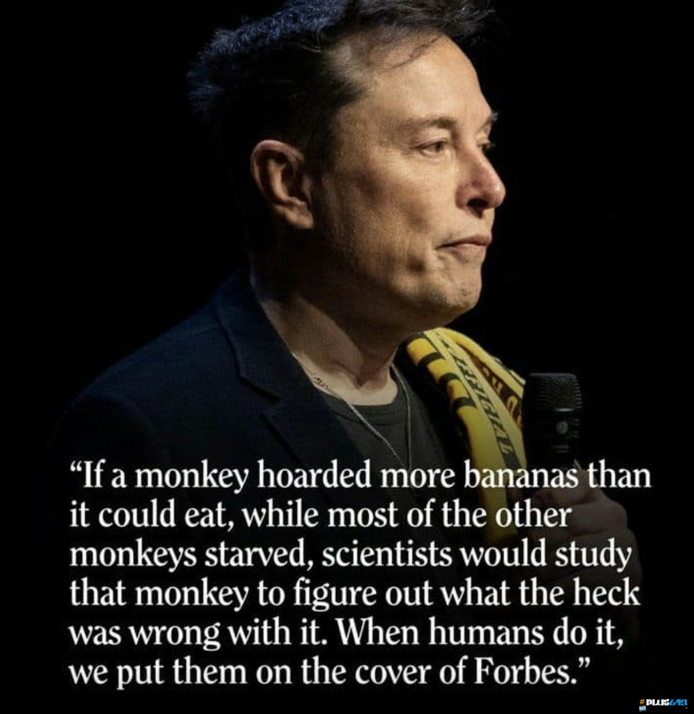 Hairless monkey
