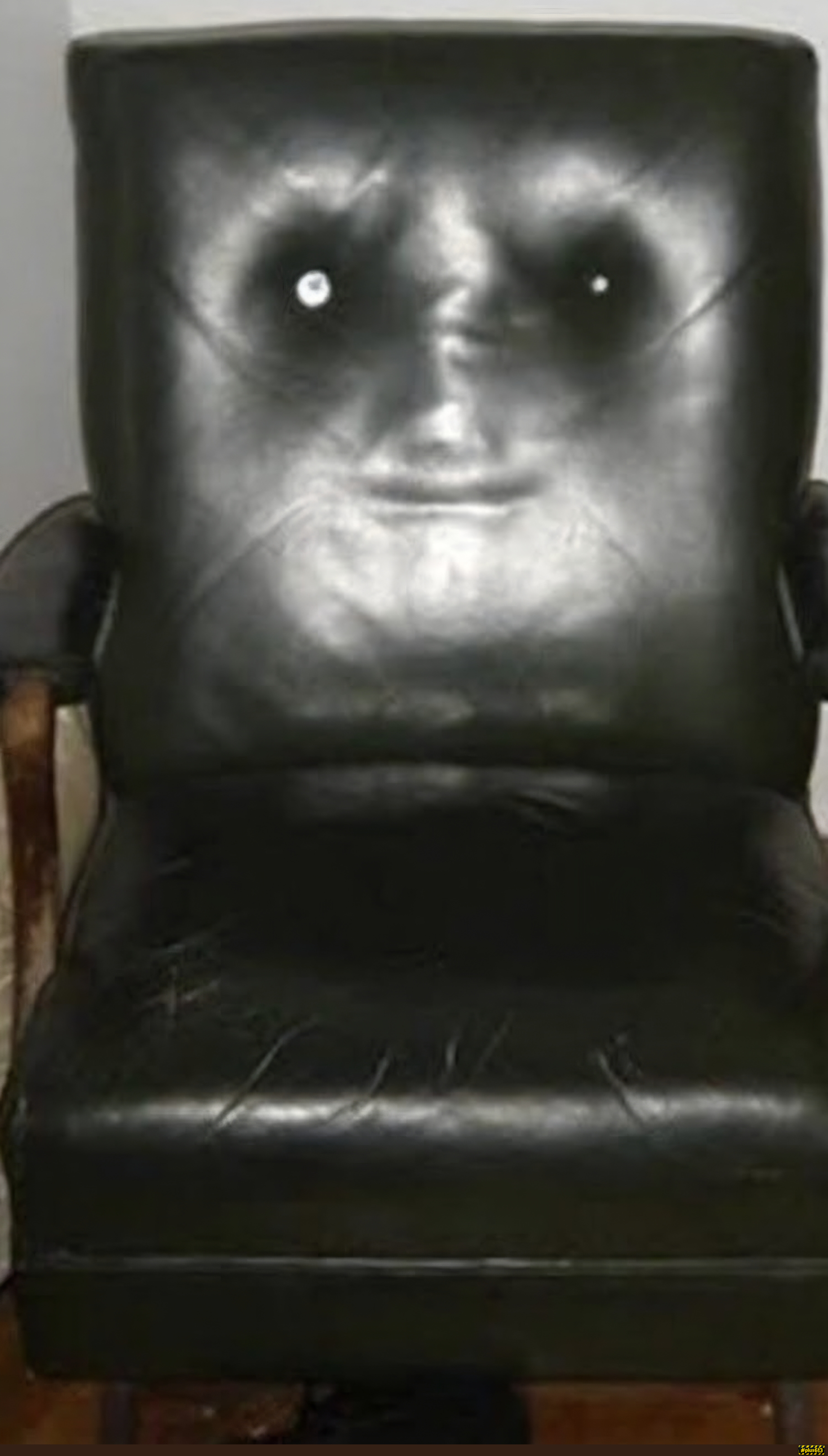 The judging chair 