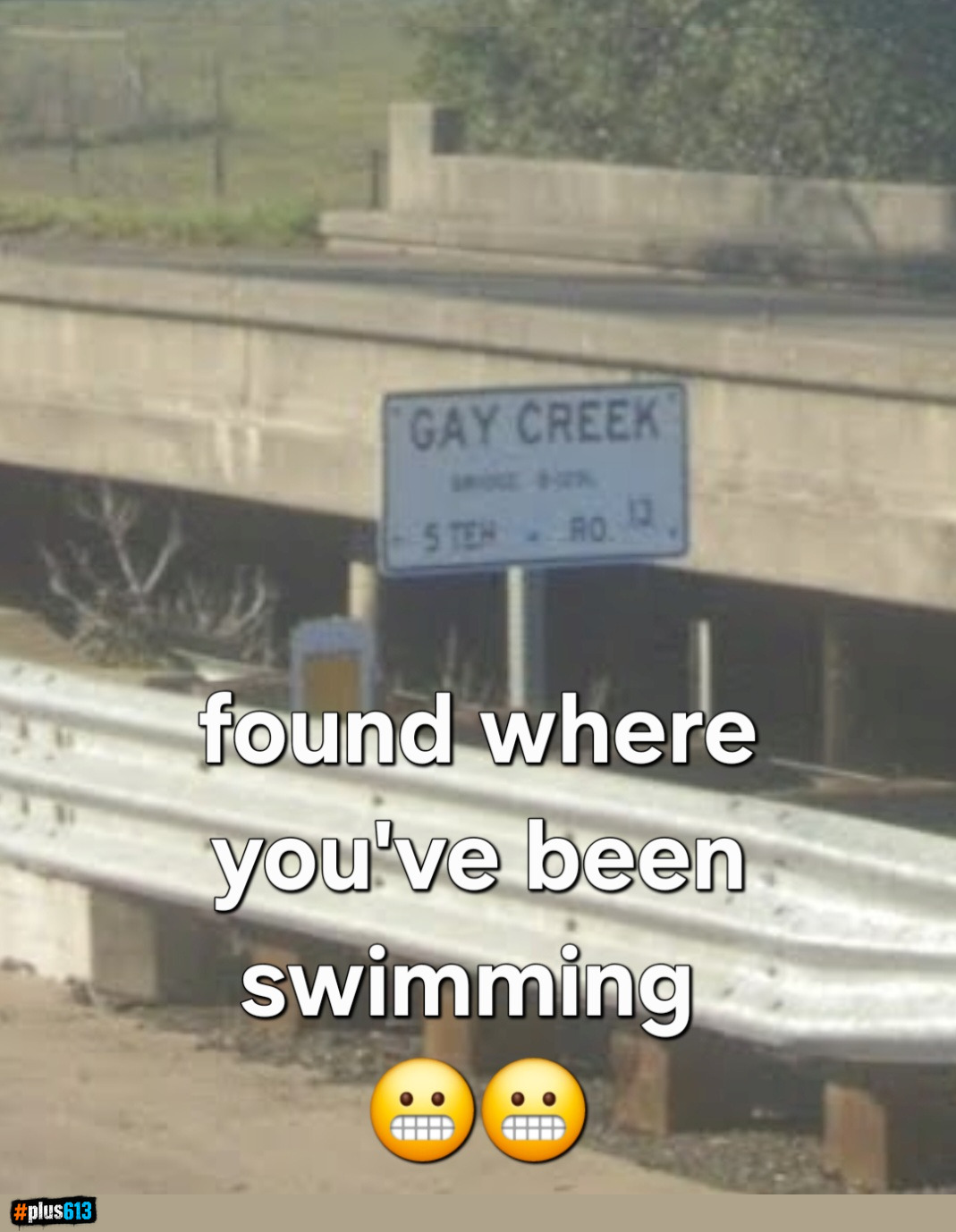 Pulses swimming hole