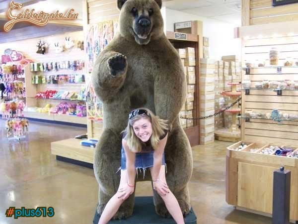 pedo bear says hi