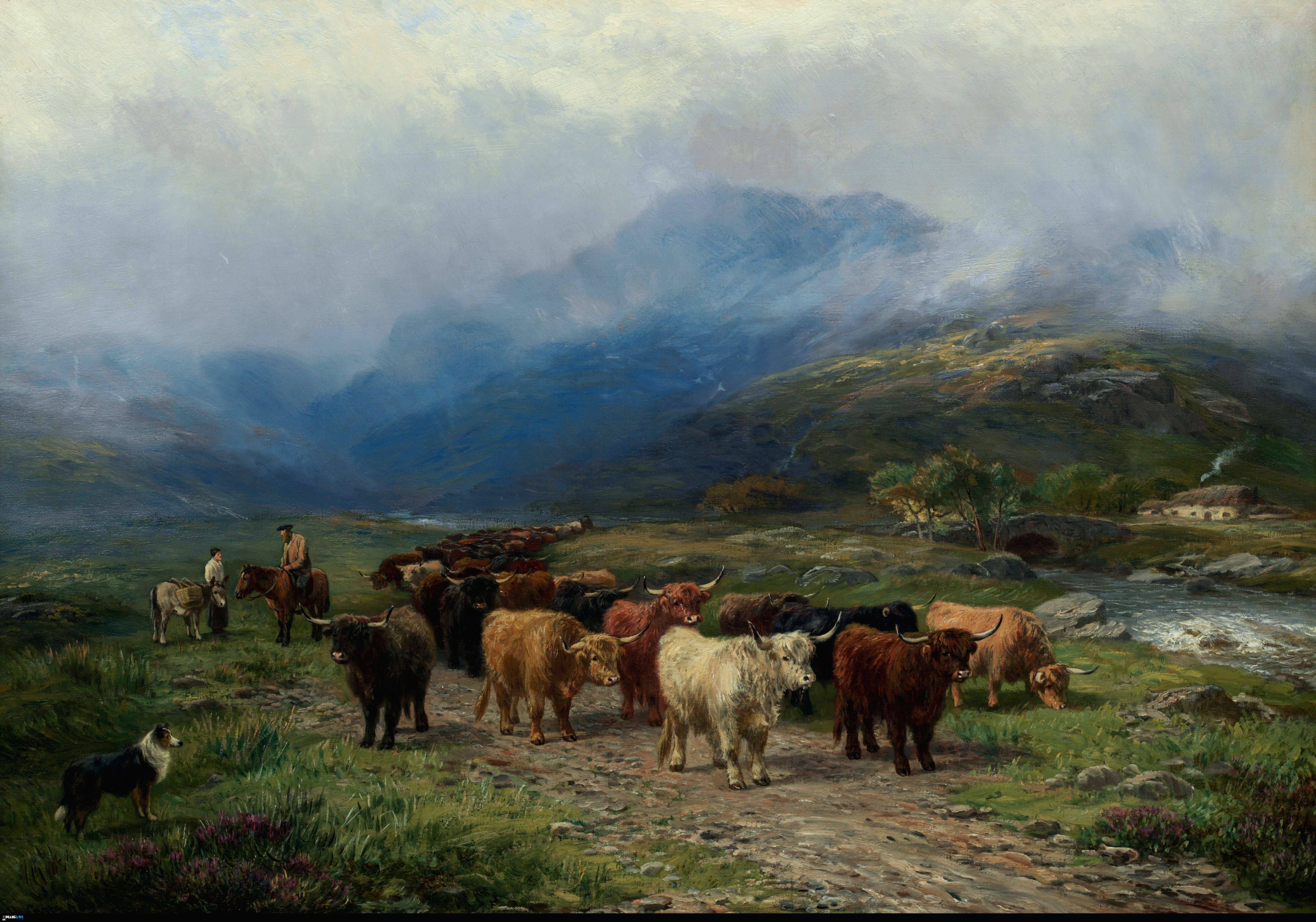 Wallpaper - Henry Garland - Highland Cattle