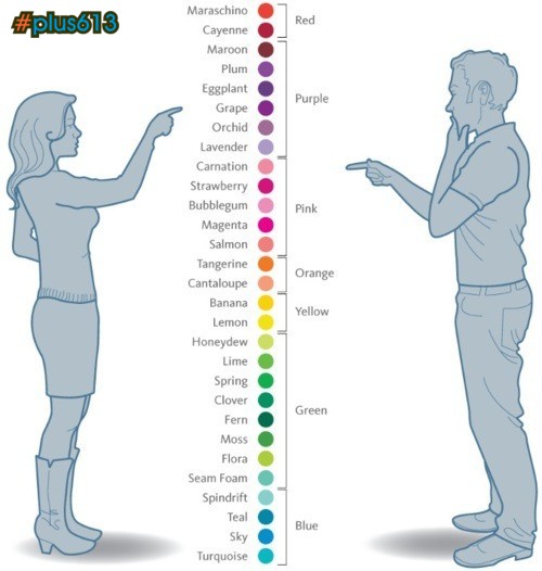 How we see colour