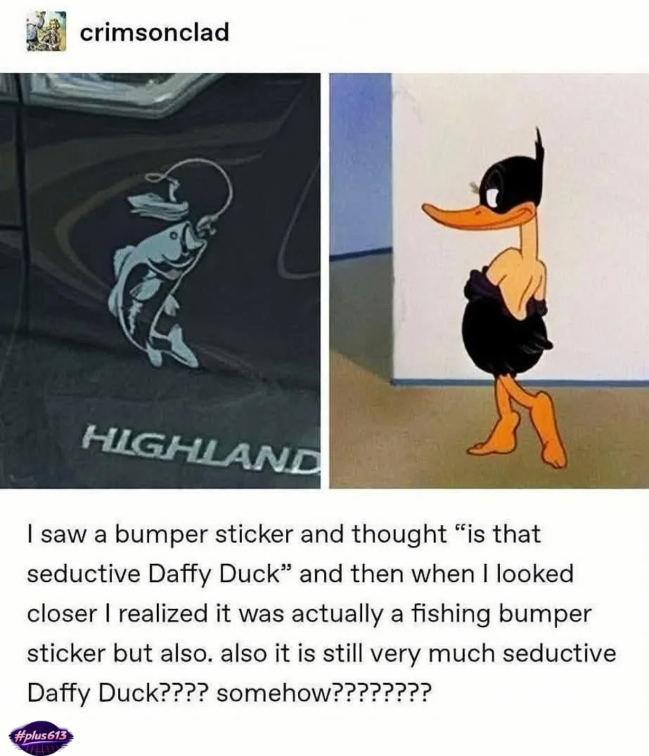 Stupid sexy daffy 