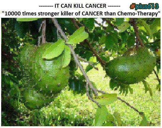10000 times stronger killer of CANCER than Chemo