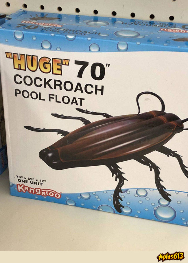 Every child's favourite