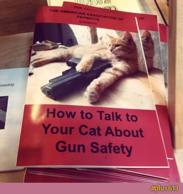 i think my cat is a terrorist