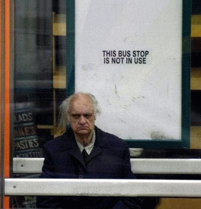my funny picture collection bus stop