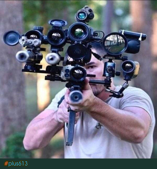 needs more sights