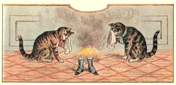 cats and steam