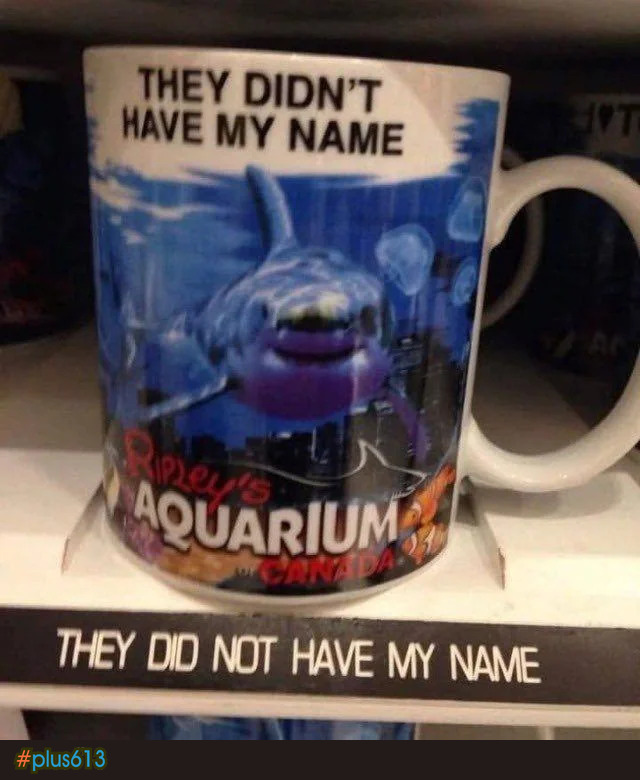 No Bort cup?