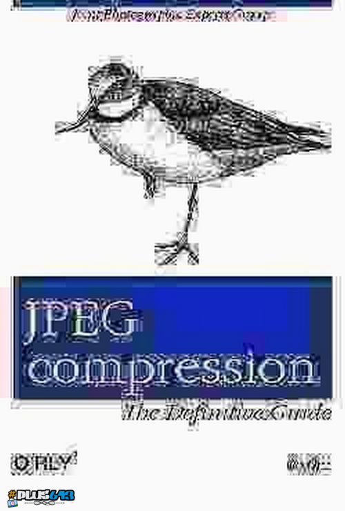 JPEG compression definitive guide 