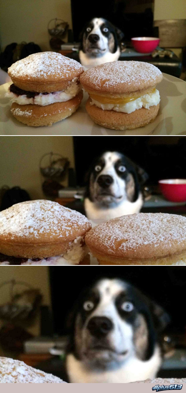 willpower!