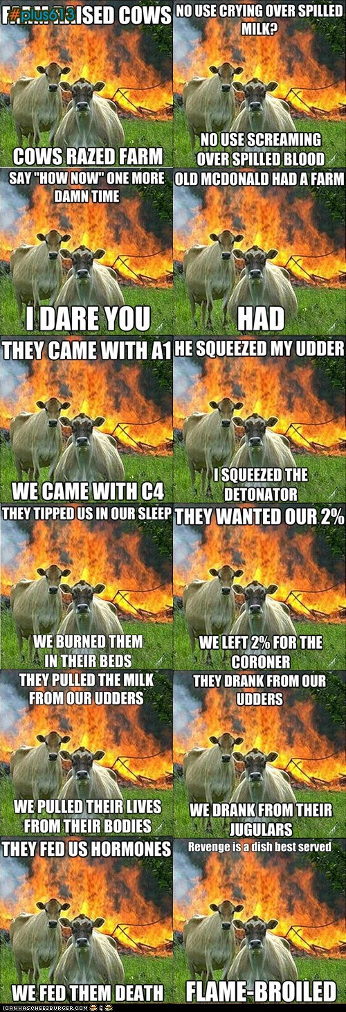 evil cow memes