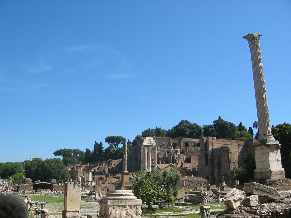 Foro Romano (ruins of Roman empire, Rome, Italy...of course!)