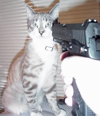 I said "whip that pussy, not shoot it"