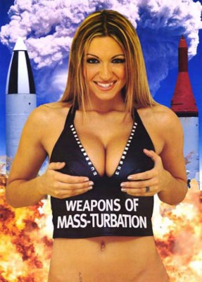 wepons of mass distructions
