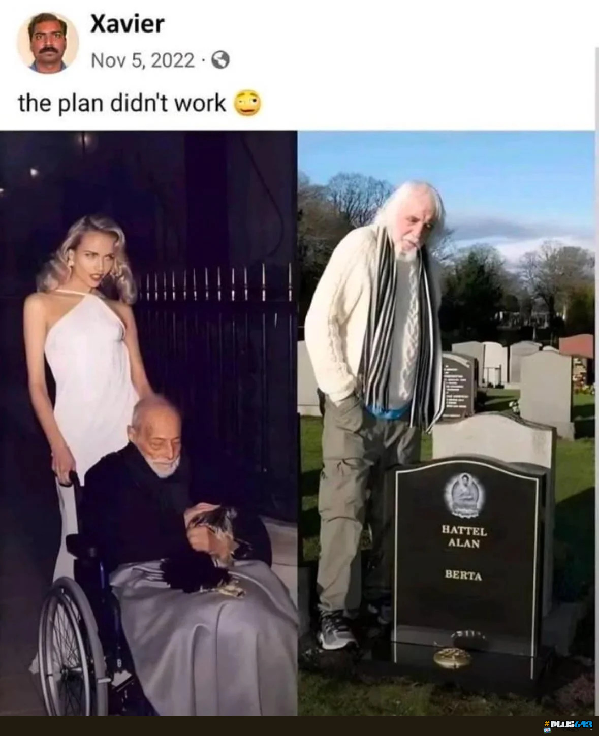 failed successfully 