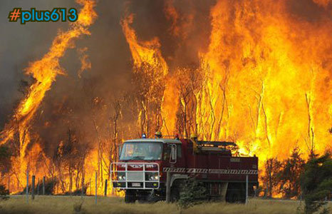 84+ dead in Australia's worst ever bushfires, Victoria, Australia, Feb 8, 2009