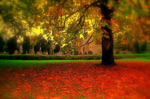 Autumn in Llandyfriog