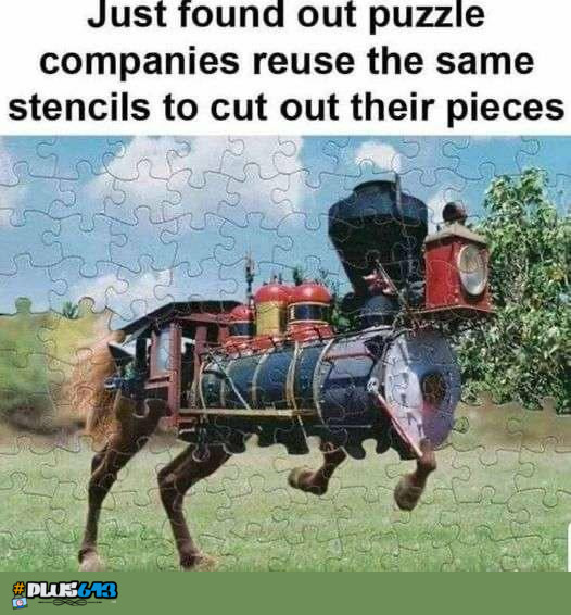 Training horse